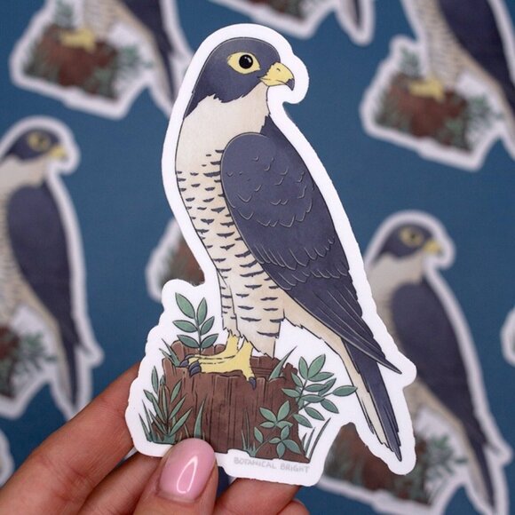 3 for $15 - Falcon Bird Sticker - Waterproof Vinyl Nature & Wildlife Decal - Picture 3 of 7
